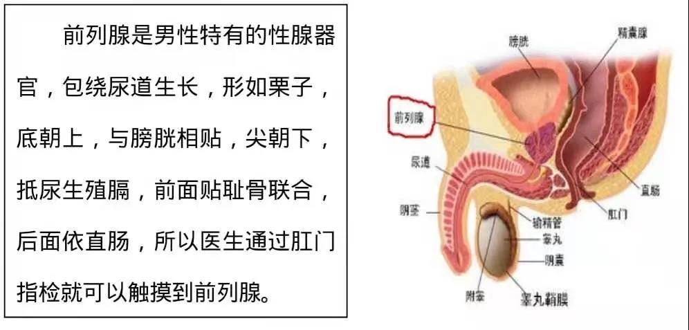 微信圖片_20210205211951.jpg